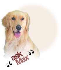 ask_max_logo_modified